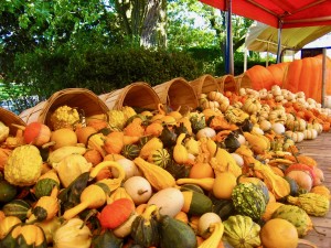 gourds